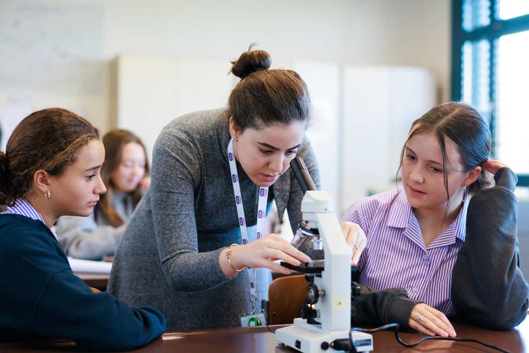 World-class curriculum
