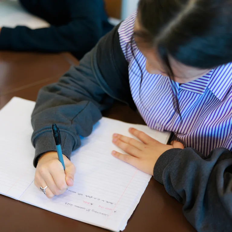 Wellbeing and learning support